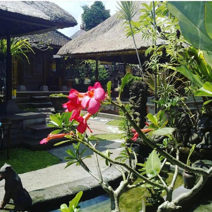 Family Guest House 乌布 外观 照片
